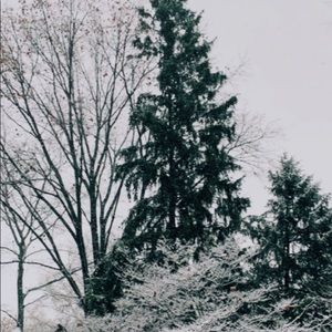 Meet your Posher, Sabrina